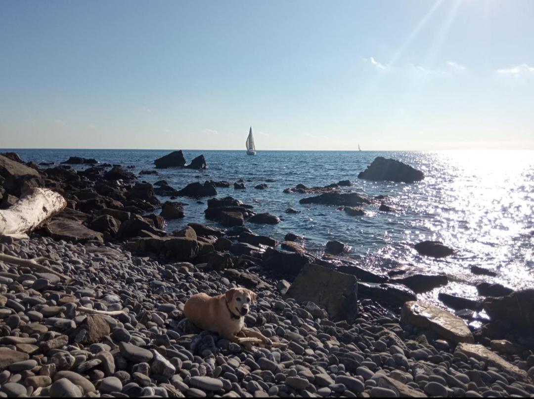 Cluxury-Torre Dei Saraceni Boutique Apt By The Sea Beach, Pool,Private Jacuzzi, Parking Cervo Eksteriør bilde